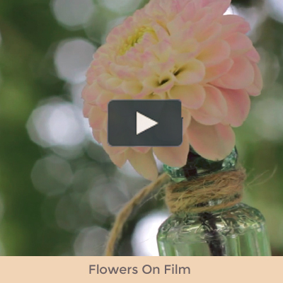 flowers-by-on-film