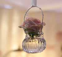 hanging glass jars