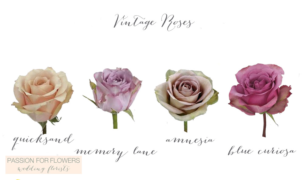 vintage roses