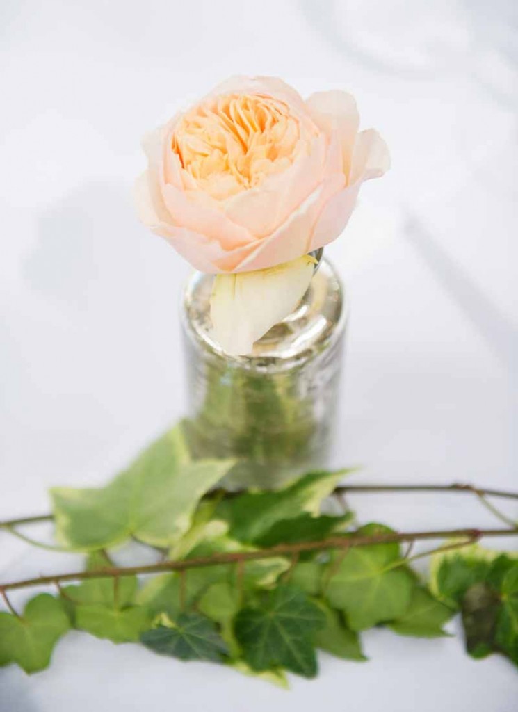 Peach David Austin rose mercury silver vase wedding centrepieces Hampton Manor Wedding Flowers Passion for Flowers