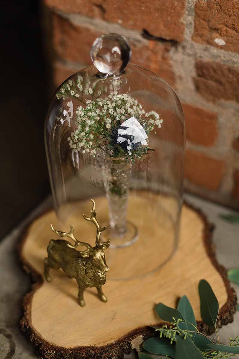 rustic luxe wedding styling bell jars on tree slices