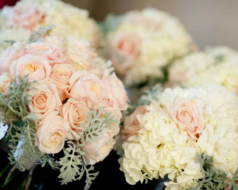 Blush pink roses and grey dusty miller foliage for bridal bouquets by Passion for Flowers @kmorganflowers