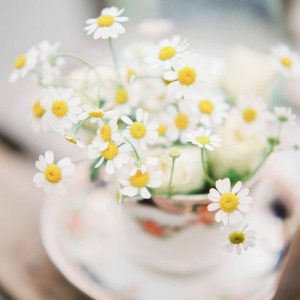 Daisy flowers in vintage tea cups for vintage summer wedding