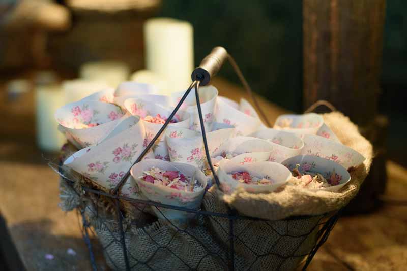 delphinium-petal-confetti-in-cones