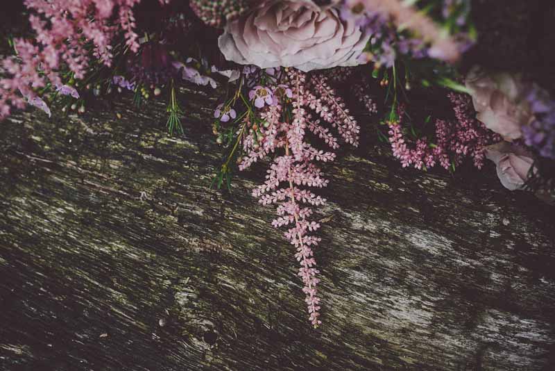 dsuky-pink-astilbe-wedding