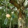 hanging-roses-in-apothecary-bottles-wedding-flowers-1