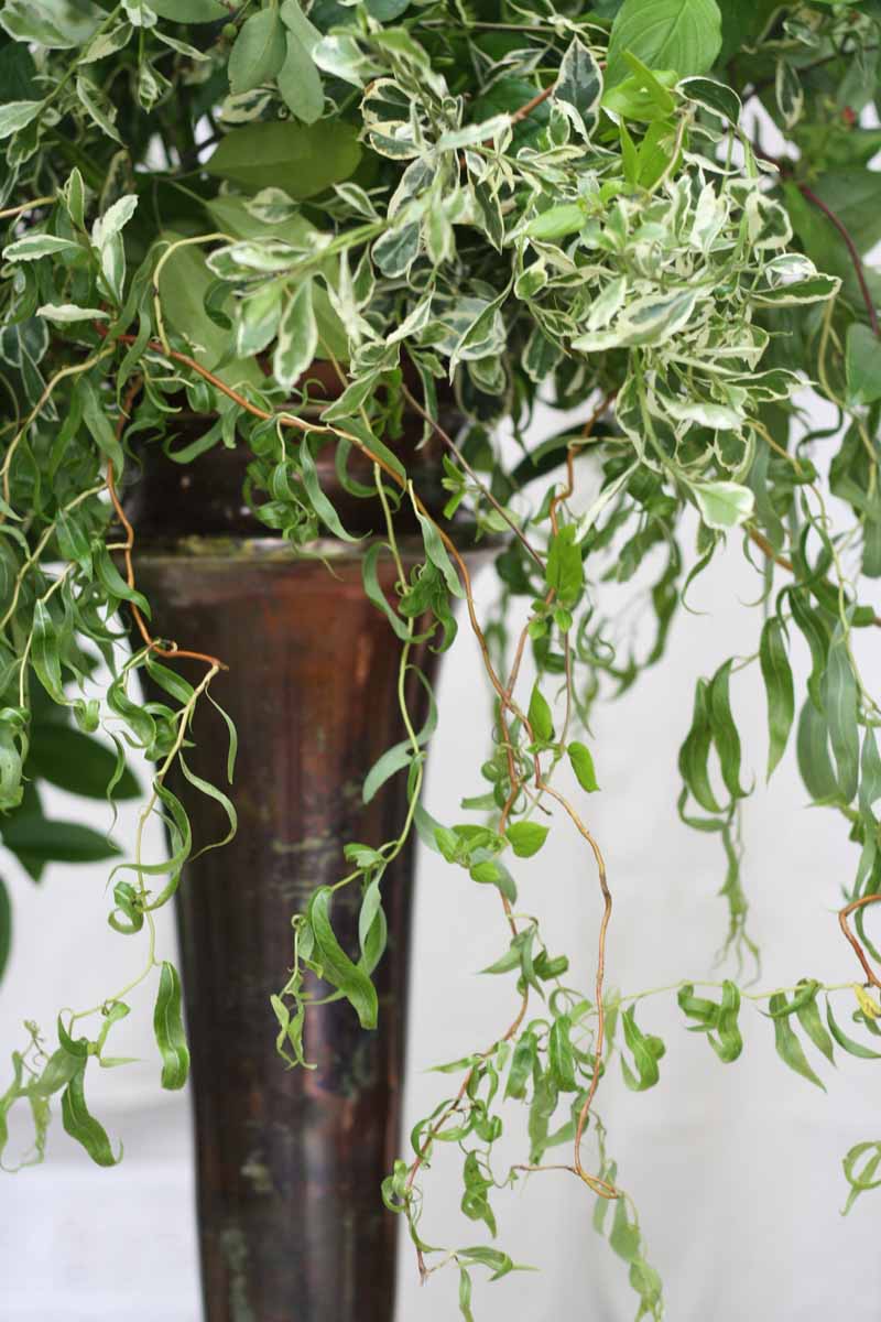 Natural Flowers Tall Centrepieces in Bronze Vases Learn with Karen Morgan Passion for Flowers 1-2-1 flower class (4)