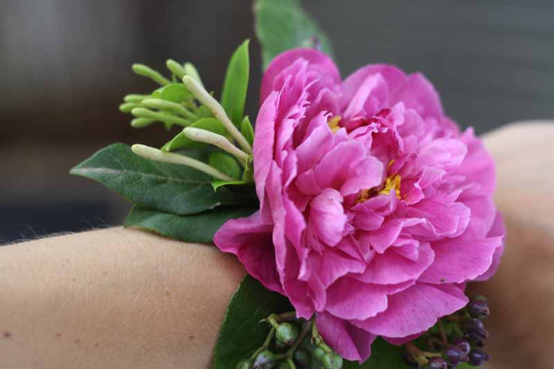 Peony wrist corsages learn how to make these with Passion for Flowers 1-2-1 Wedding Flower Class (2)