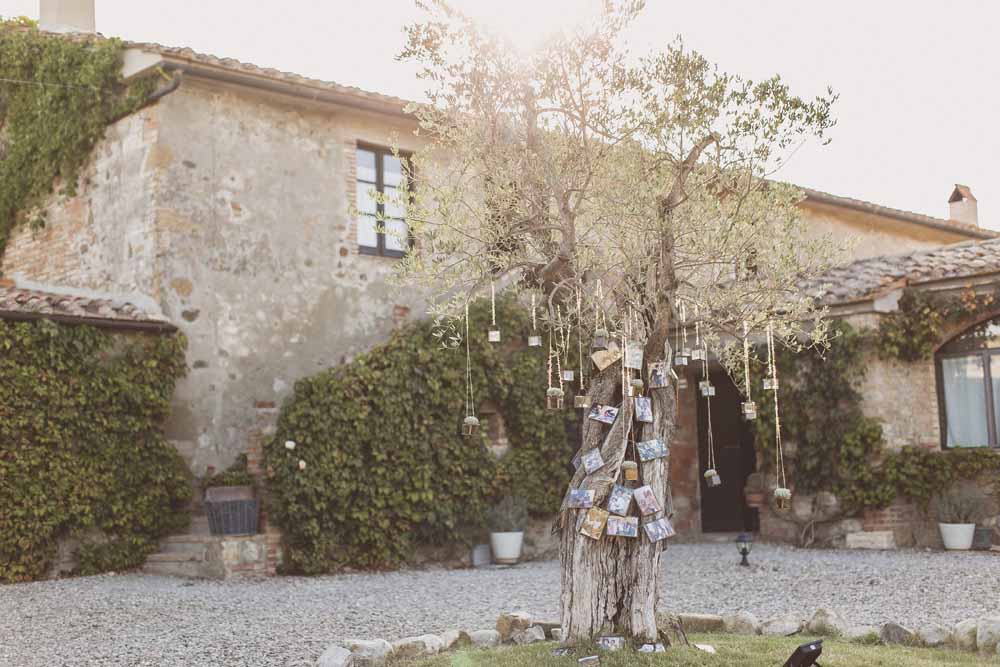 Family Tree - Olive tree ideas Destination wedding Locanda In Tuscany